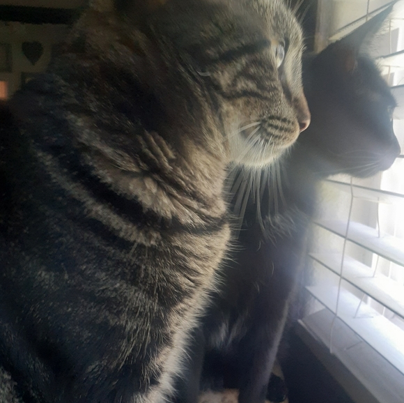 Meet your Posher, Michelle - Picture 6 of 11